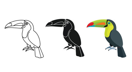 Fototapeta premium Toucan bird flat vector icon set: Clipart, sticker - icon set - Line and glyph solid icon and logo template 