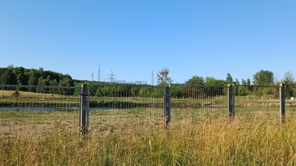 Fototapeta premium Rural fence with tall grass and power lines under clear blue sky
