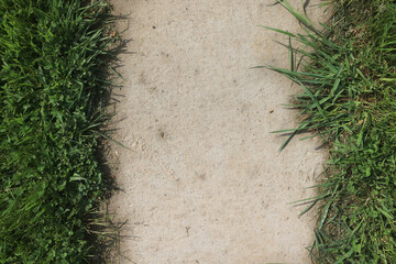 Naklejka premium concrete walkway texture, concrete framed by grass