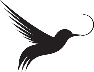 Obraz premium Hummingbird in motion a sleek black silhouette with dynamic wings and a curved tail accent.