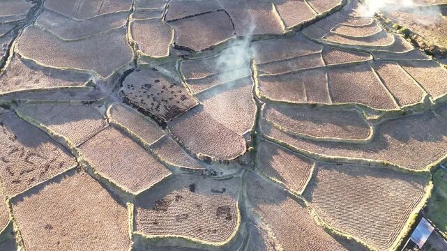 Top-down aerial view of ancient agricultural stone terraces in the Colca Canyon, Peru, forming complex geometric patterns on the mountain slopes