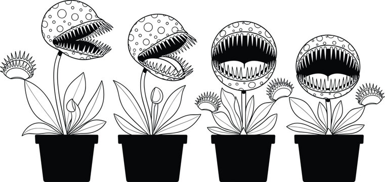 Venus flytrap vector set, carnivorous monster plant, potted nature illustration, black line art, sharp teeth flower, botanical garden icon, isolated