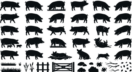 Silhouette collection of domestic pigs, sows, and little piglets grazing, sitting in mud, walking, and playing with farm icons like fences and grass vector. © MstYasmin