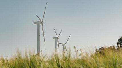 Wind Turbines Rising Above Tall Golden Grass in Rural Landscape — Renewable Energy Countryside Photography © breamchub