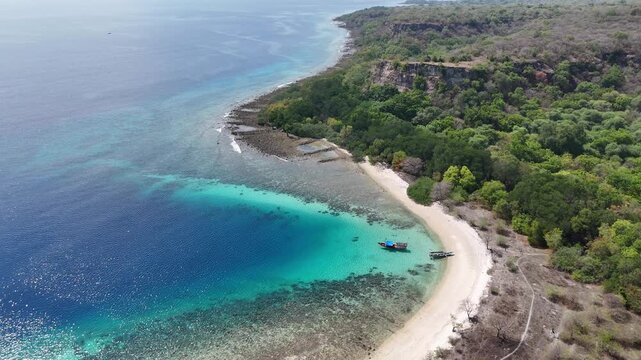 Aerial drone shot with a tilt reveal of  Sea Baluran National  Park and Mount Baluran in East Java Indonesia
