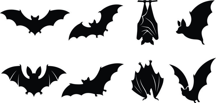 Flying bat silhouette set vector collection