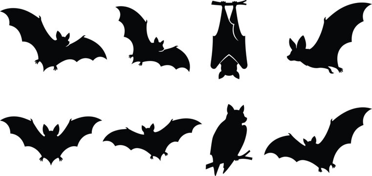Flying bat wing silhouette bundle vector set