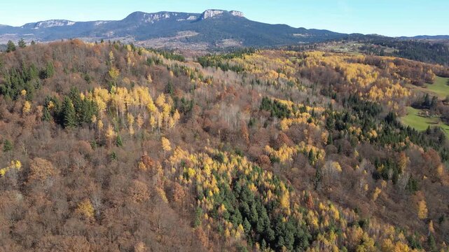 Drone Aerial View of Autumn Landscape with Colorful Trees and Vibrant Fall Foliage