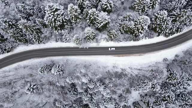 Drone Aerial View of Car Driving Through Snow Covered Forest During Winter Day