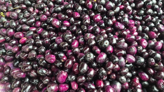 4k video of Java plum, or Indian blackberry