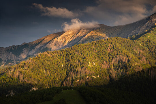 Close view of Bujaczy Wierch in the Belianske Tatras, Slovakia, with golden light illuminating the forested mountain slope, rocky terrain and low clouds.