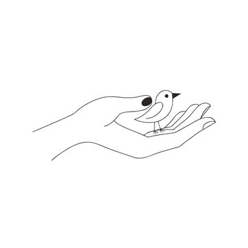 Delicate hand holding small bird depicted in single continuous black line art style representing protection kindness and nature care.