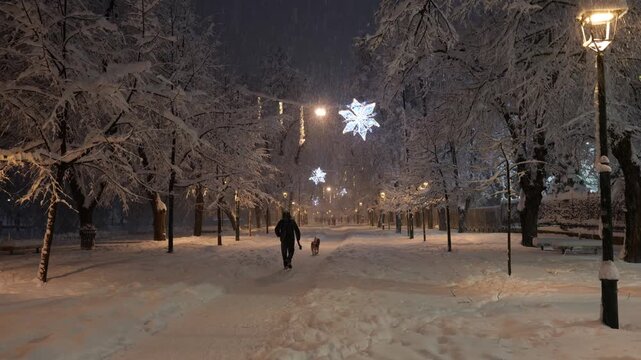 Person Walking Dog on Snowy Winter Night Street with Christmas Decorations and Falling Snow