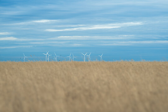 Tranquil scene of a rual farming landscape against blue sky, with renewable energy wind turbines in the horizon, Berrybank, Victoria, Australia