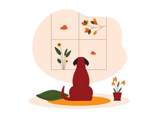 Naklejka premium A dog seen from behind sitting on a rug and looking out a large window at branches and plants.