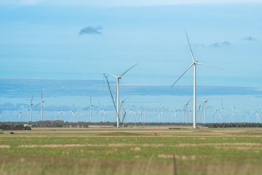 View of an expansive wind farm in south west part of Victoria, strecthing across a flat rural landscape under a soft blue sky, Berrybank, Victoria, Australia