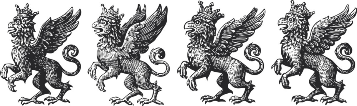 Medieval griffin illustrations heraldic mythical creatures drawings vintage set