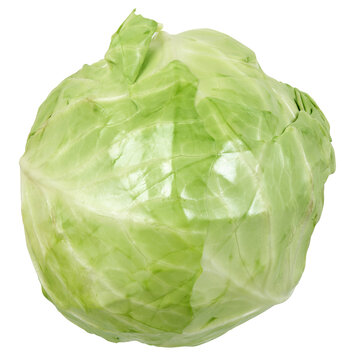 fresh green cabbage isolated