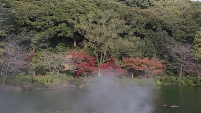 Thick white mist and smoke blowing away by the wind, revealing a beautiful autumn lake landscape with colorful trees and red maple foliage. Beppu, Fukuoka in Japan