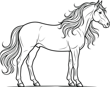 horse vector illustration art
