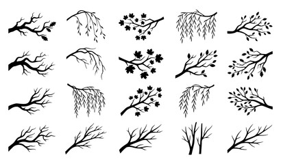 Obraz premium Hand Drawn Tree Branch Collection with Leaves Berries and Botanical Twigs Isolated on White Background