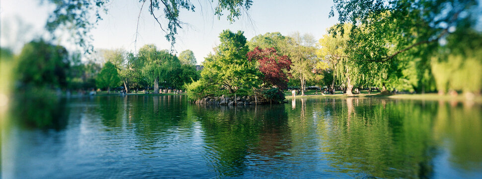 Panoramic view shows the lagoon at the Boston Public Garden, which features lush green trees and a small, rocky island known as Duck Island, Boston, Massachusetts, New Englan
