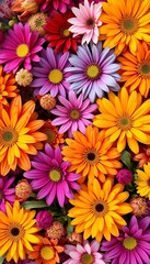 Fototapeta premium Vibrant colors of autumn flowers arranged in a stylized pattern, ||vibrant, flowers