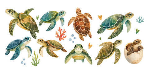 Watercolor sea turtle clipart collection with marine life elements © dian's