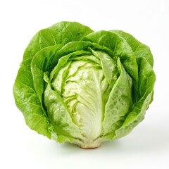 Fototapeta premium Fresh green cabbage head isolated on a white background