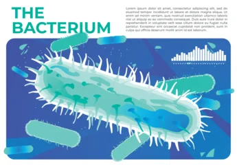 vector illustration of a bacterium © Leonid