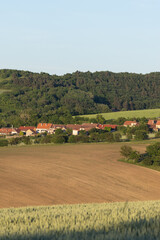Fototapeta premium green fields, Moravia, Czech Republic, around the village Kyjov