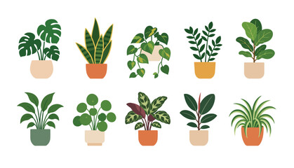 Variety of Potted Houseplants Collection. © Kenn