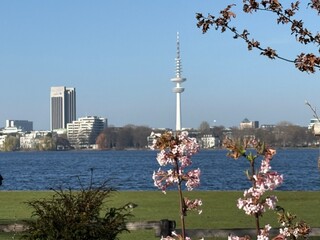 Hamburger Alster mit Heinrich-Hertz-Turm Fernsehturm im Frühling, Außenalster mit blühenden Kirschblüten blauer Himmel, Stadtpanorama Hamburg Deutschland landmark lake © Angie