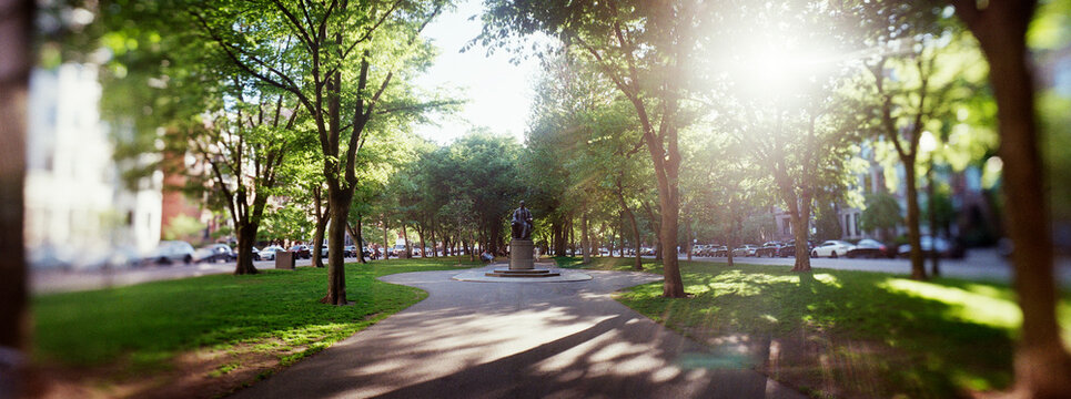Panoramic view of Commonwealth Avenue Mall in Boston, featuring historic brownstones and a tree-lined walkway, Boston, Massachusetts, New England