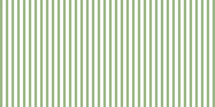 Sage green stripes seamless pattern vector illustration. Hand drawn watercolor brush stroke vertical