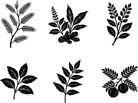 Botanical Branches Leaves and Berries Silhouette Set