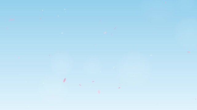 Cherry blossom petals gently falling against blue spring sky, spring background seamless loop 4K