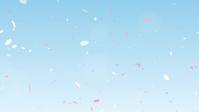 Cherry blossom petals swirling against blue spring sky, spring background seamless loop 4K