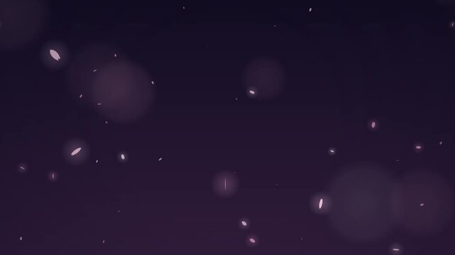 Cherry blossom petals drifting in the wind against night sky, spring background seamless loop 4K