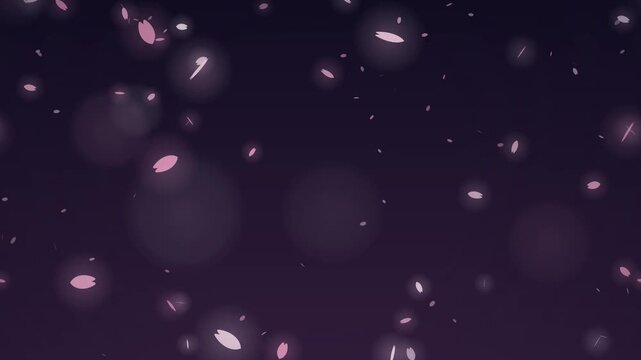 Cherry blossom petals swirling against night sky, spring background seamless loop 4K