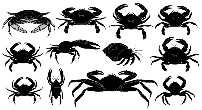 Black crab silhouettes collection, 11 sea creature vector icons, marine animal shapes for seafood restaurant menus and nautical design