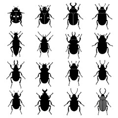 Fototapeta premium Black beetle silhouettes set, 16 insect icons vector collection, stag beetle and ladybug shapes, entomology nature graphic elements