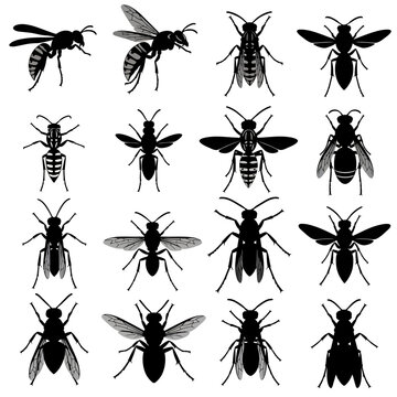 Wasp and hornet silhouette set, 16 black insect vector icons, stinging flying pests collection for biology and pest control branding