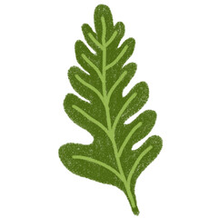 Fototapeta premium crayon illustration of a leaf