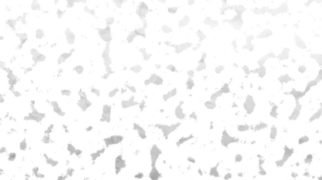 Abstract grunge background gray and white animation video
