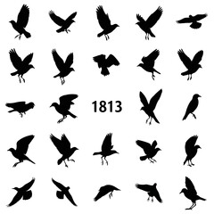 Obraz premium Black bird silhouettes set, flying crow and raven vector icons, 24 wild bird shapes in various flight poses, isolated animal graphics for design