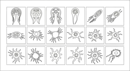Fototapeta premium Scientific microorganism line icons, set of 18 biological cell and bacteria vectors, microscopic organism illustrations for education and lab research