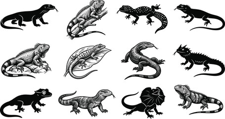 Obraz premium Lizard and Iguana Silhouette Vector Collection with Reptile Clipart and Wildlife Illustrations