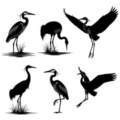 Obraz premium Vintage heron silhouette set, 6 black crane bird vector icons, elegant egret wildlife illustrations for nature logos and outdoors branding
