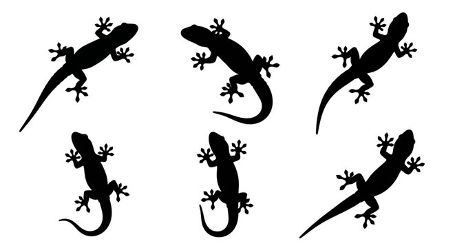 Gecko lizard silhouette collection, 6 black reptile vector icons, tropical salamander and lizard shapes, wildlife animal silhouettes for logo design